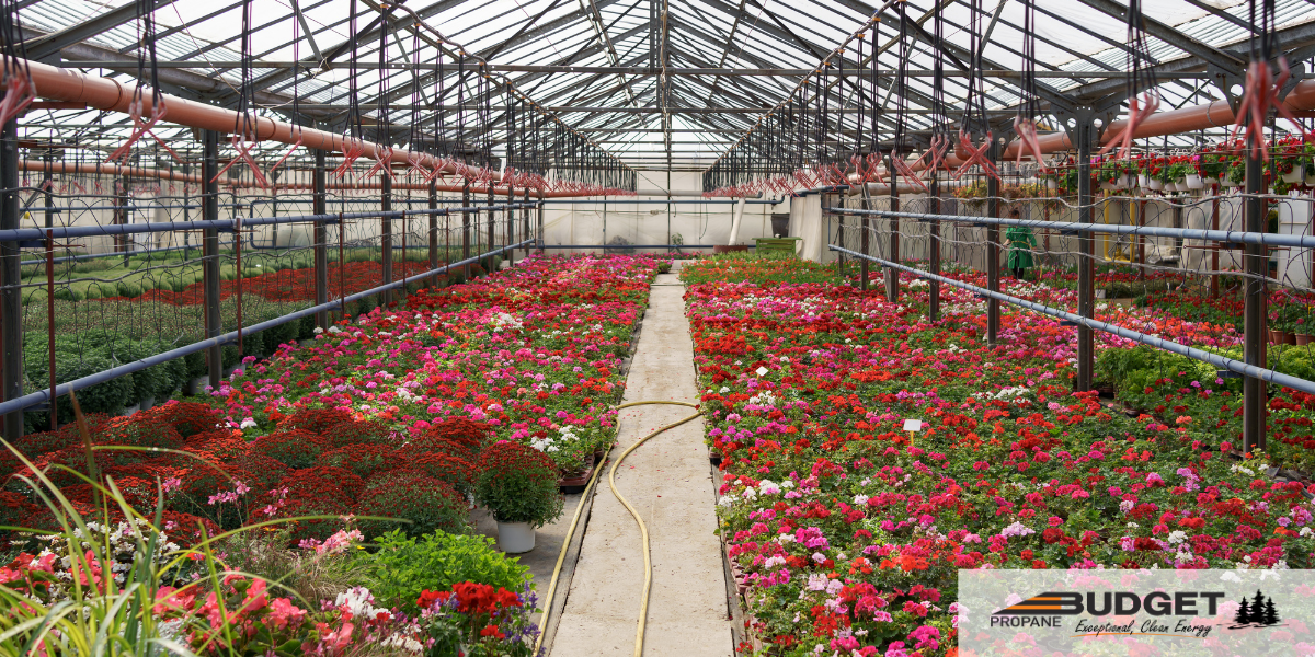 Propane for Agricultural & Horticultural Businesses